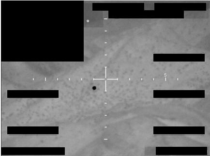 FBI Photo A5 — עמוד 1